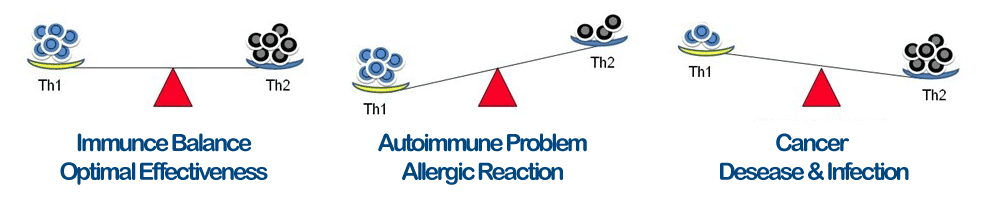 sistem imun seimbang - manfaat transfer factor - immune balance 